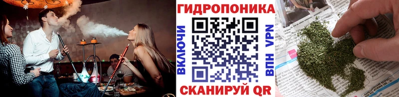 Марихуана план  закладка  Карачев 